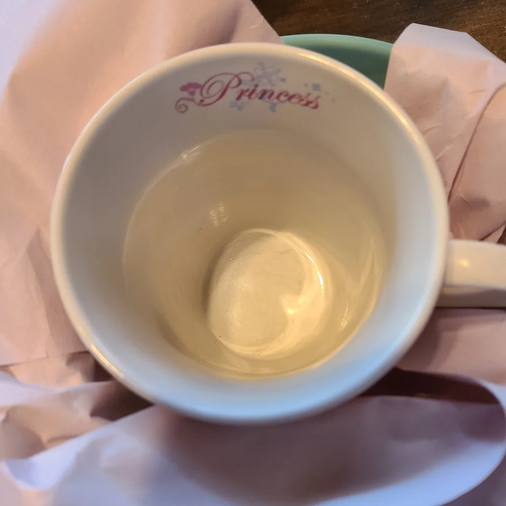 Disney Princess Ariel 24oz Mug and  Princess Friends 8oz Cup Set